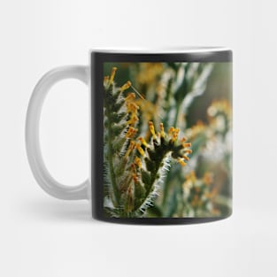 Fiddleneck Mug